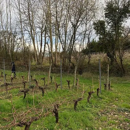 Chateau Regaldo-saint Blancard Apartamento