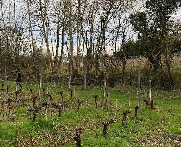 Chateau Regaldo-saint Blancard Apartmán